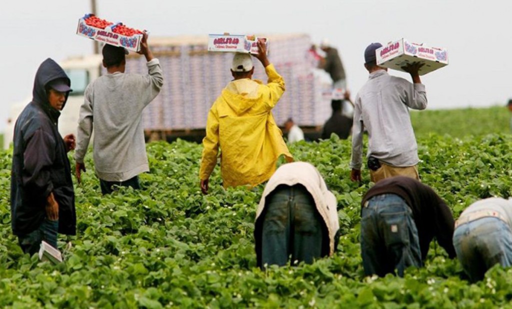 Capital Humano homologó 19 acuerdos colectivos de trabajo en distintos sectores