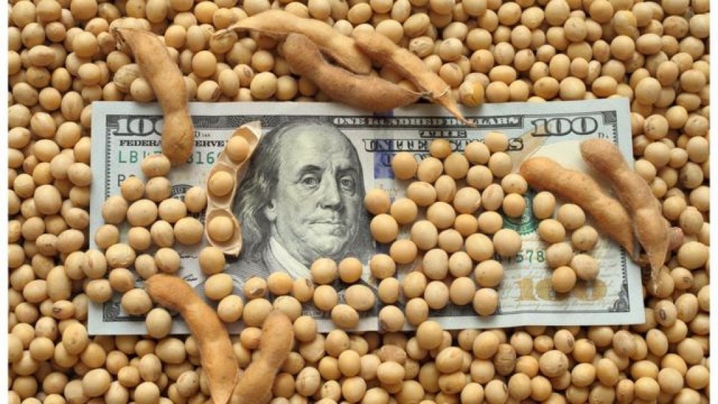 Buques cerealeros operando en puertos agroexportadores