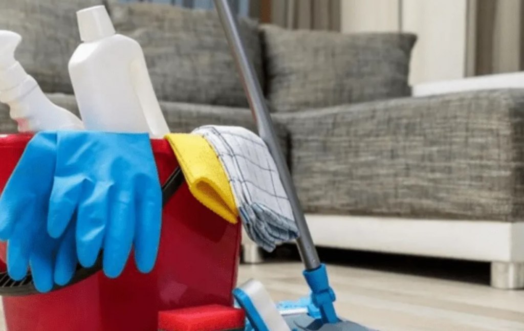 Empleada doméstica realizando tareas en un hogar