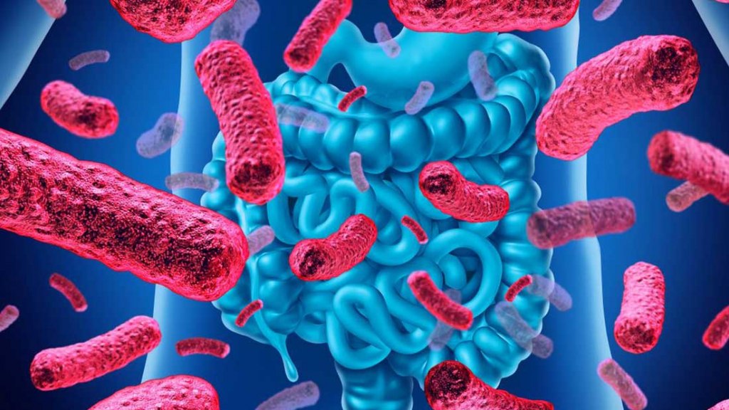 Alergias infantiles: ¿cuál es el impacto de la microbiota intestinal?