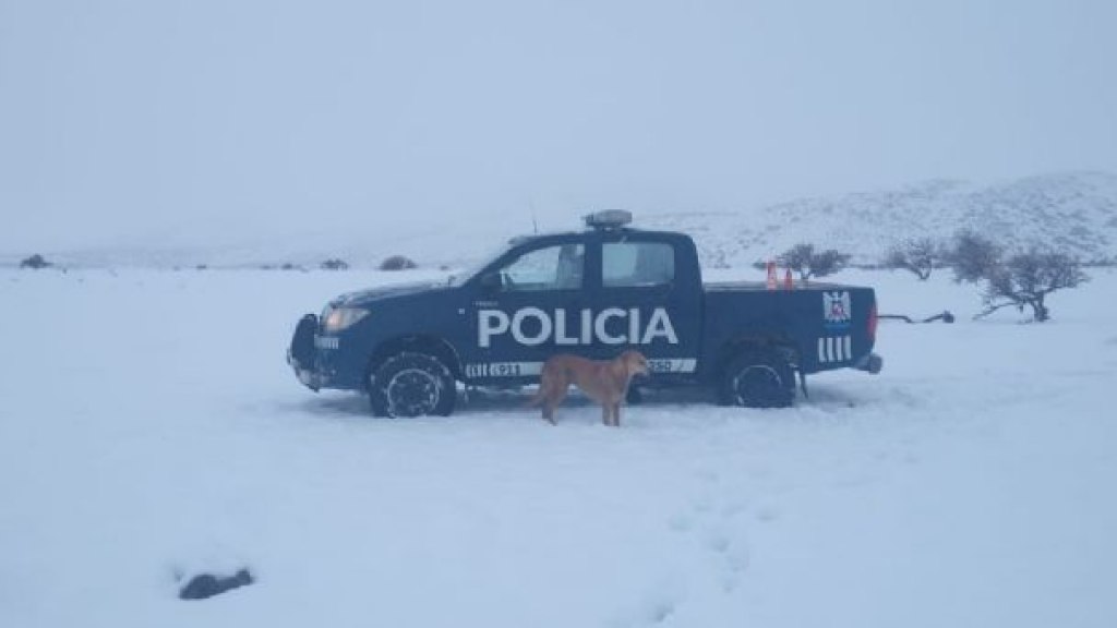 Imagen
