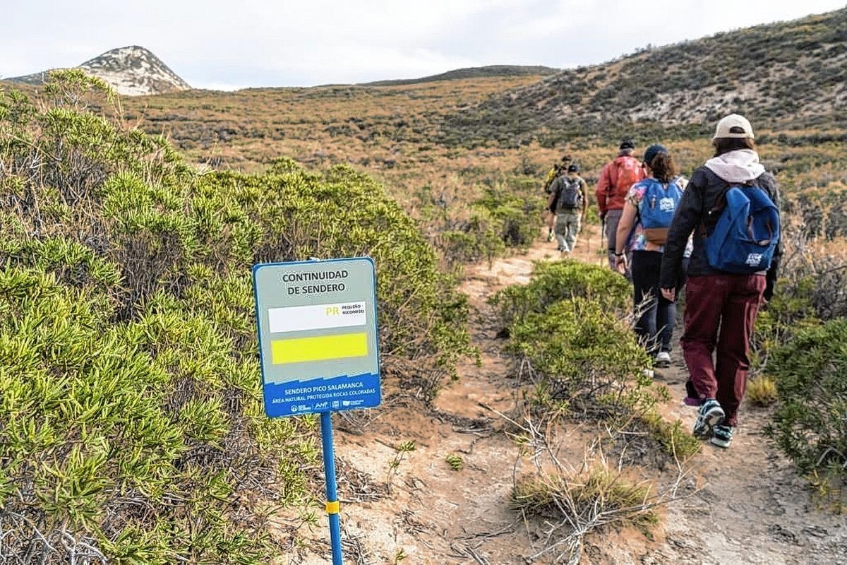 El mágico lugar para hacer treeking con vistas panorámicas de la costa patagónica