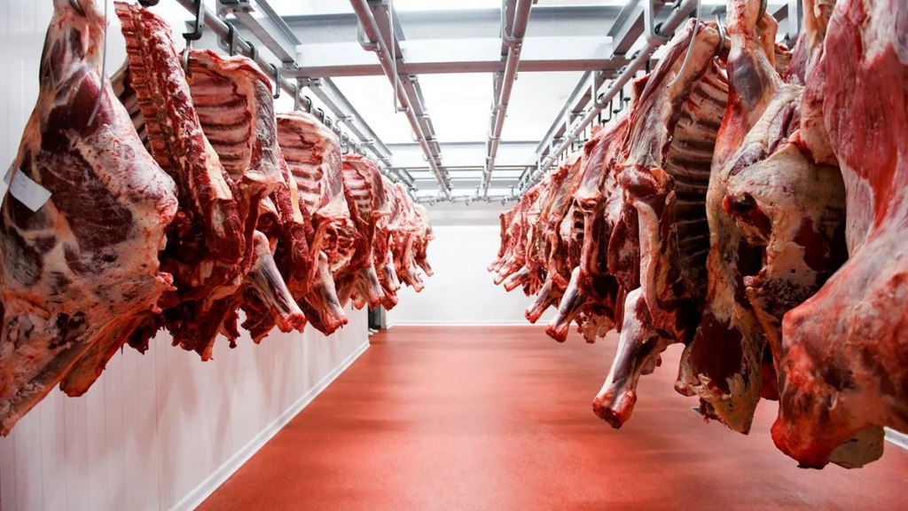 El Gobierno adjudicó cupos de exportación de carne vacuna a Estados Unidos