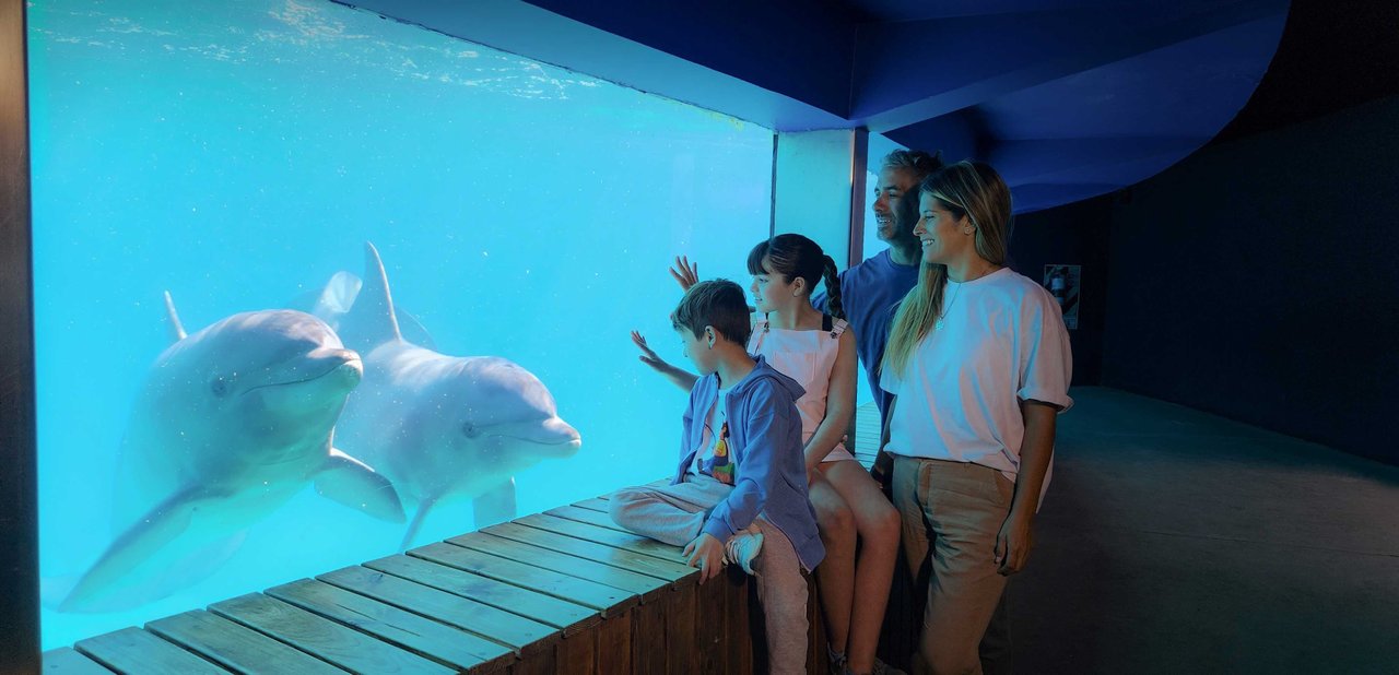 Entradas con descuento para Aquasol y Mundo Marino: cómo conseguirlas