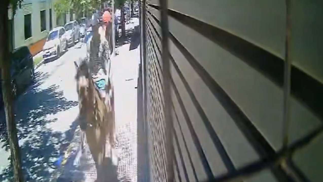 Unos “cabachorros” le robaron a una mujer en una parada de colectivo en San Fernando