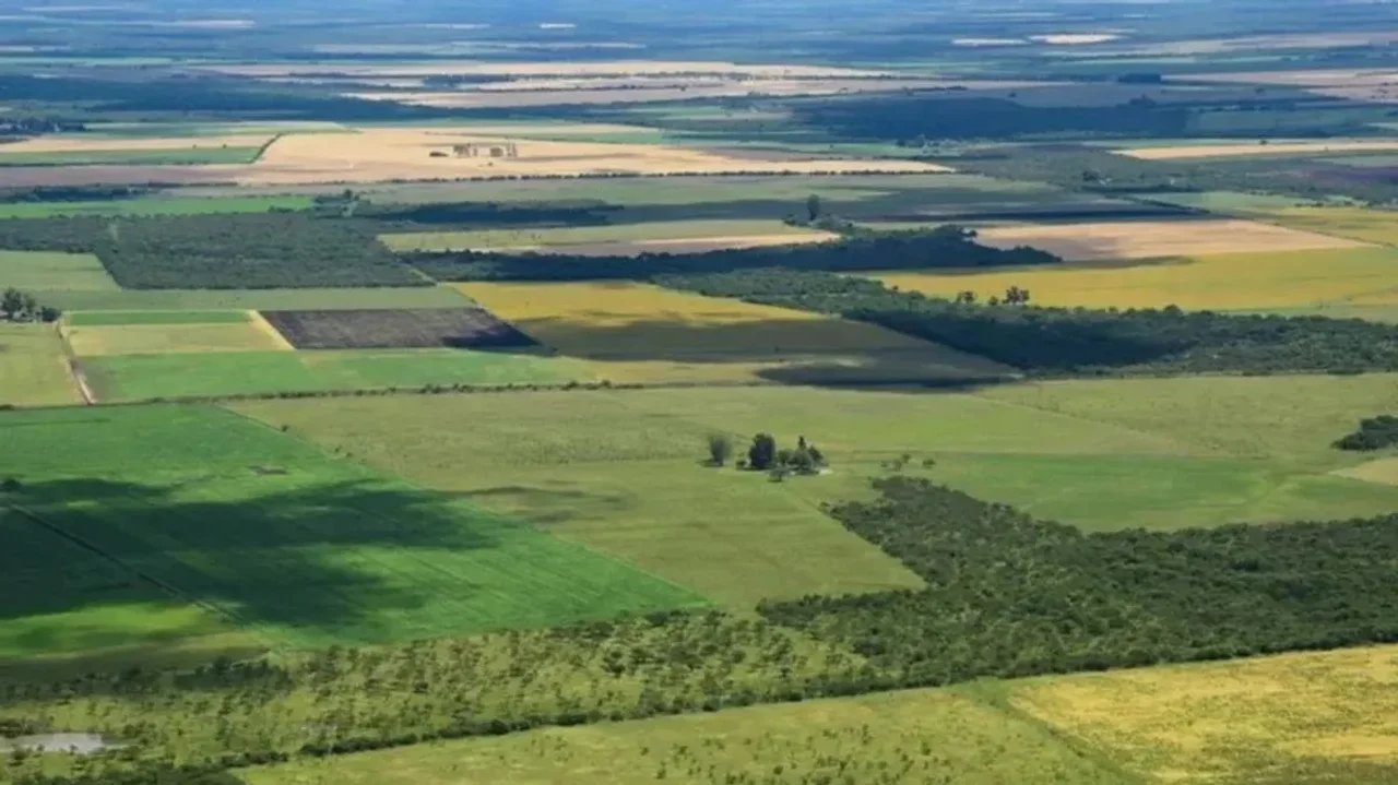 Ley de Tierras: cómo regulan Brasil, Uruguay y Paraguay la compra de campos por extranjeros y qué cambia el proyecto de Milei
