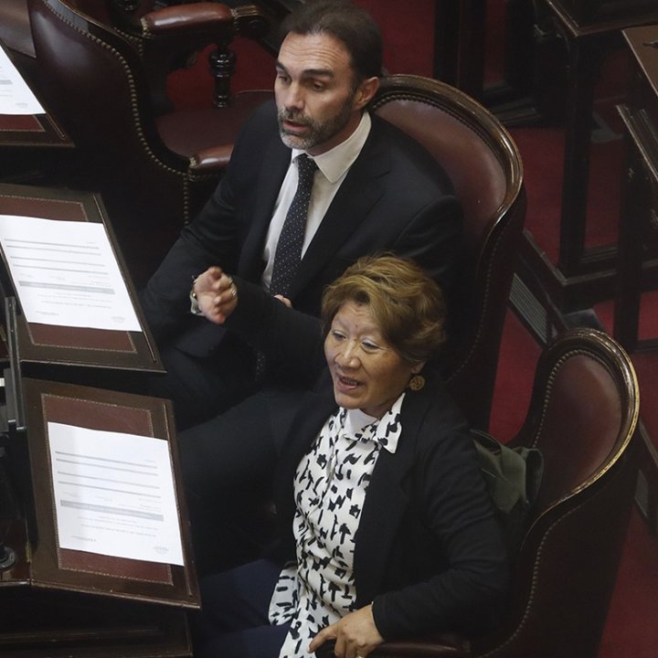 Por un amparo del PJ, la Justicia anuló la actual conformación de la comisión bicameral del Defensor del Niño