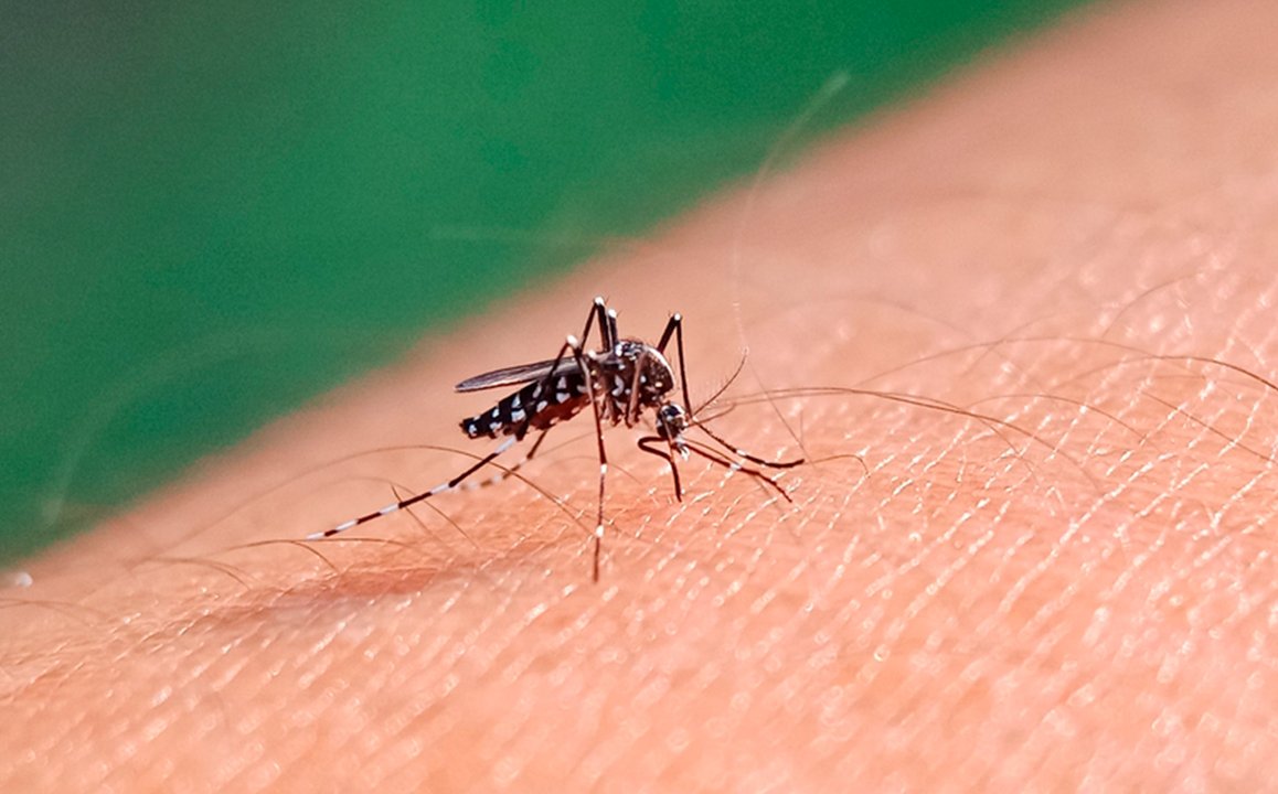 Se avanza en el desarrollo de un kit para diagnosticar dengue