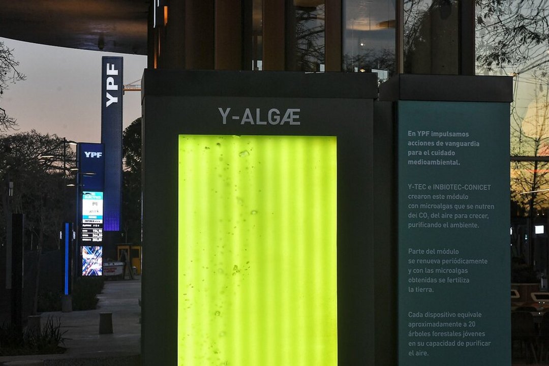 Experimentan con árboles inteligentes contra la contaminación urbana