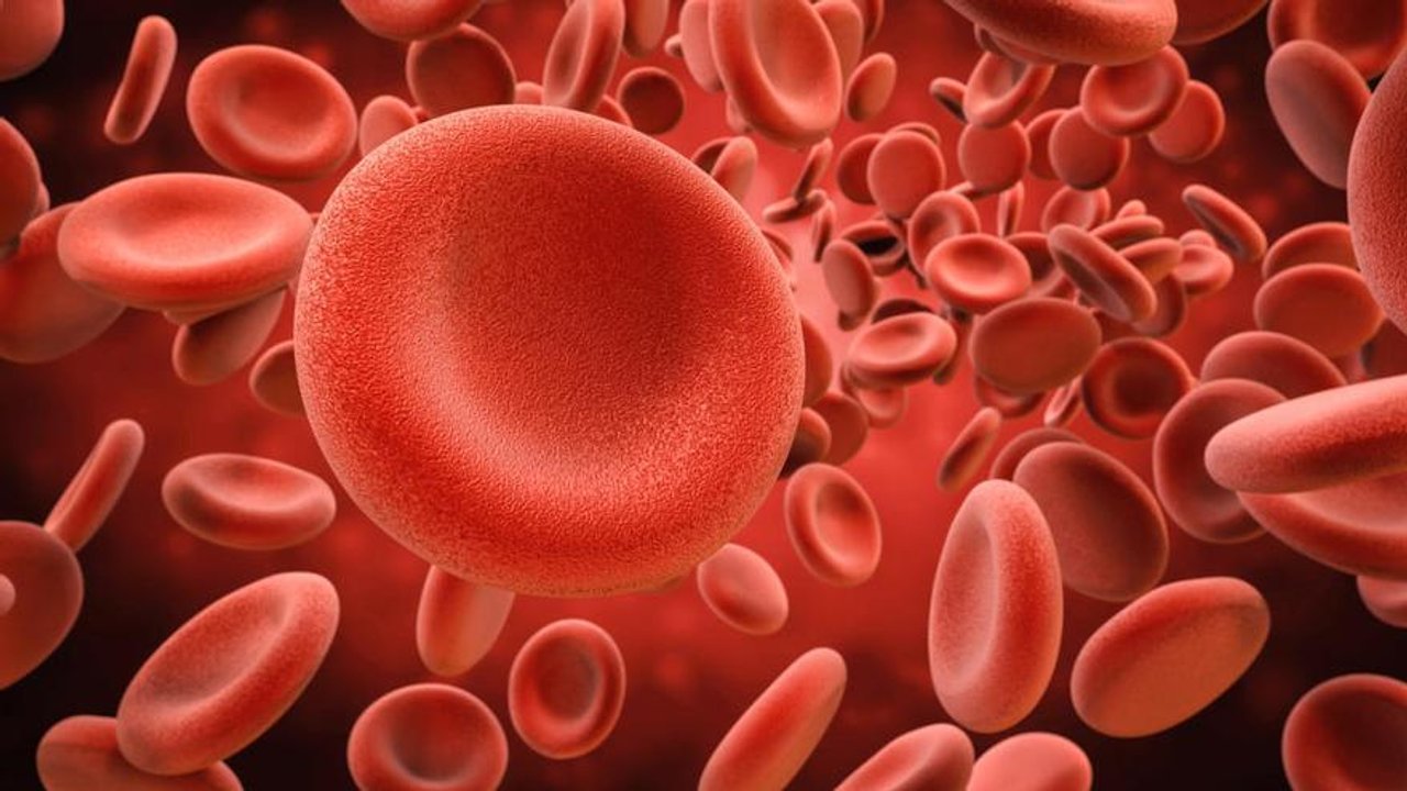 El giro en el tratamiento de uno de los cánceres de sangre más frecuentes del país