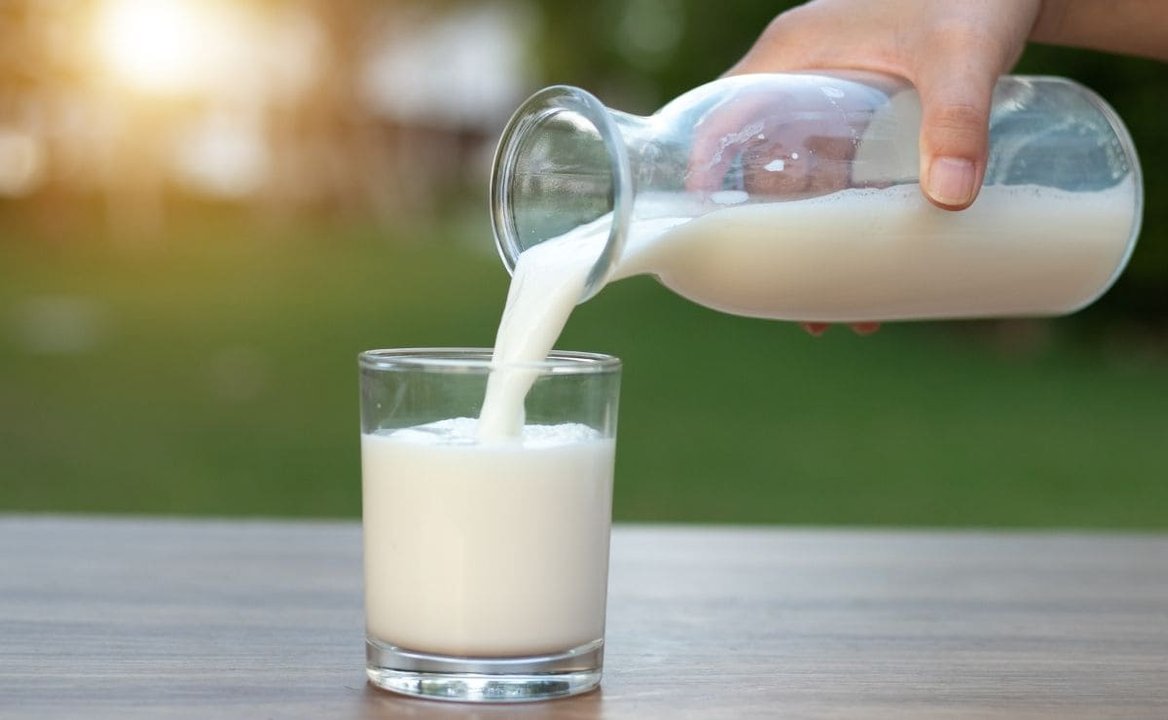 Celebramos el Día Mundial de la Leche: una fuente vital de nutrientes