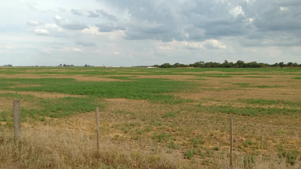 El campo en alerta ante la llegada de “La Niña”