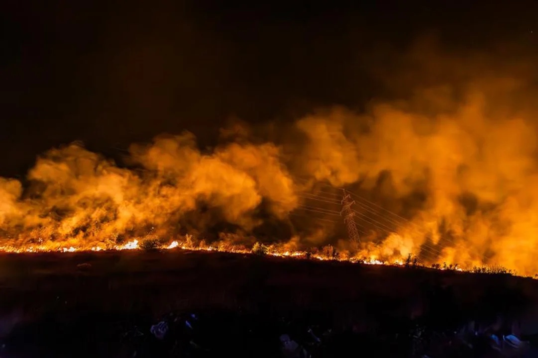 Forest fires in the western region of Paraguay have destroyed more than 84,000 hectares