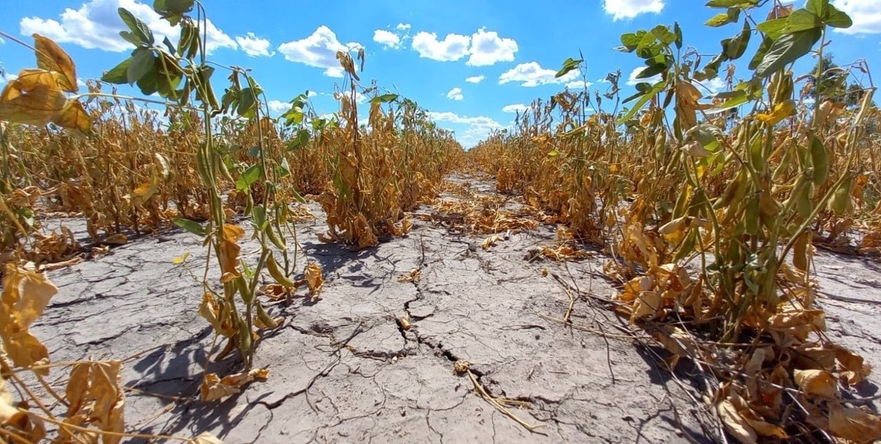 Productores rurales afectados por sequía y heladas