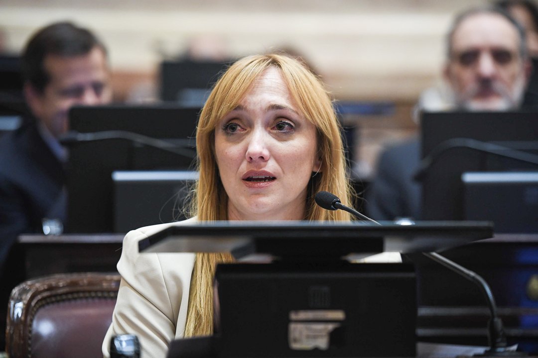 Anabel Fernández Sagasti en el Senado de la Nación