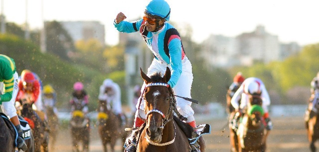 El turf, la industria centenaria que lucha por sobrevivir