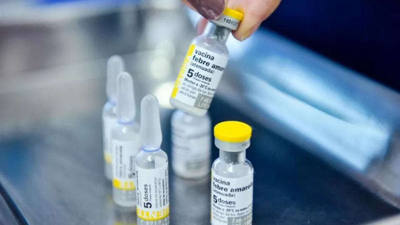 Salta refuerza vacunación contra fiebre amarilla tras brote en Bolivia