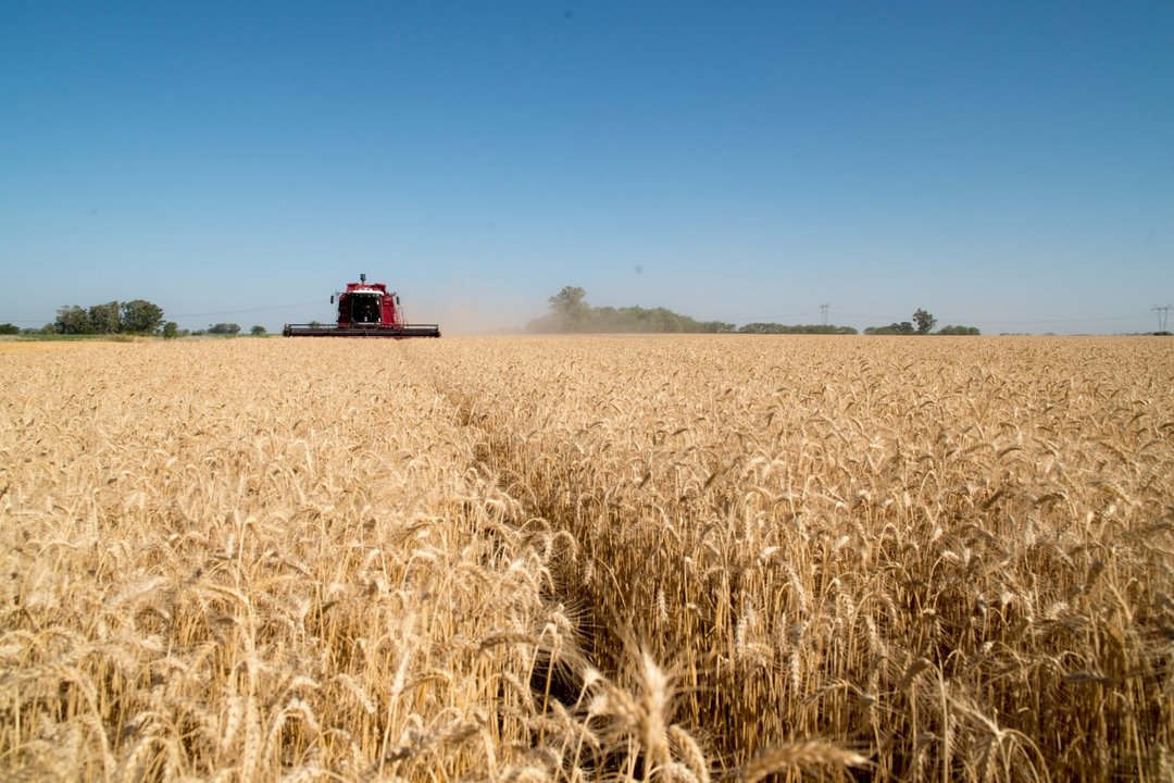 Buque con carga agroindustrial argentina listo para exportación