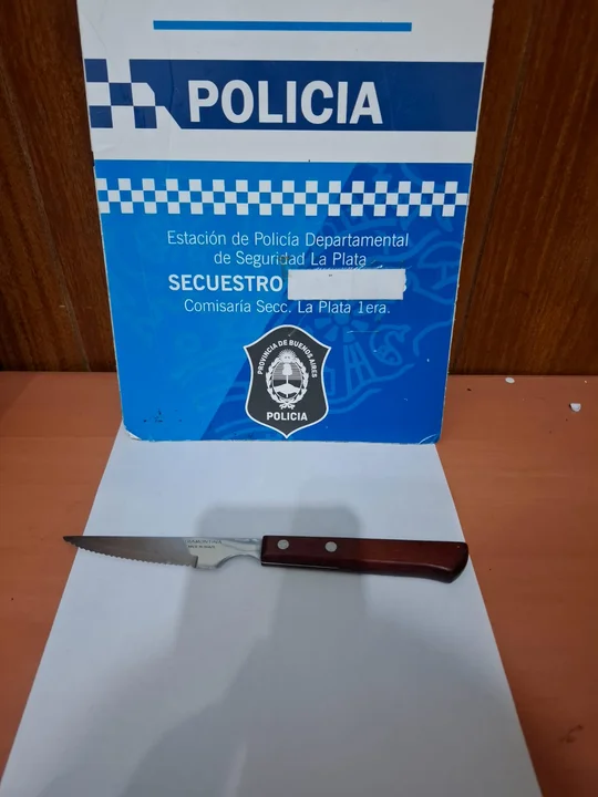 "Trapitos" en situación de calle atacaron a dos vecinos de La Plata