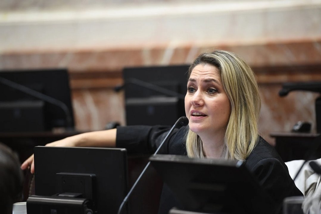 Losada prevé la aprobación de la ley de propiedad privada para agosto