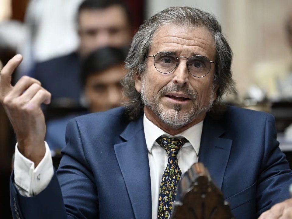 La polémica frase de Benegas Lynch sobre el aumento de la morosidad