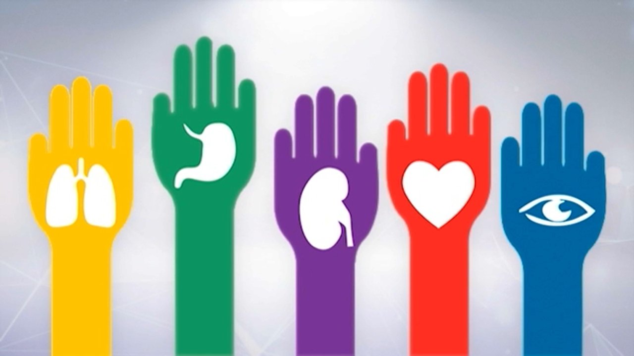 Día de la Donación de órganos: en 2026 ya se realizaron 1.700 trasplantes