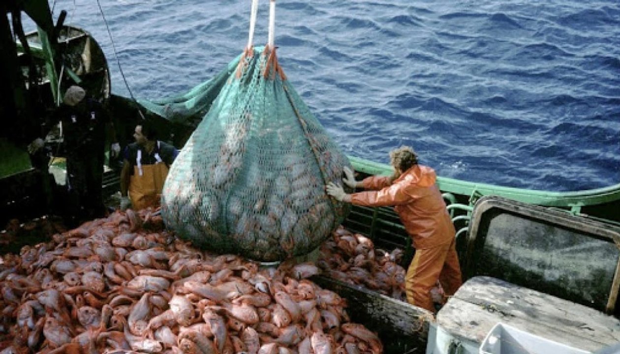 Denuncian que la pesca ilegal extrae hasta 3 millones de toneladas en aguas argentinas