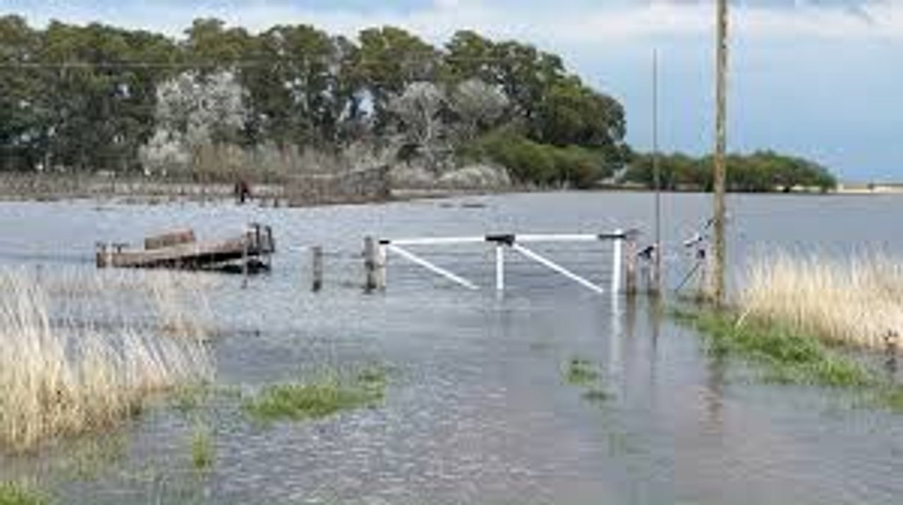 Campos inundados en municipios de la provincia de Buenos Aires