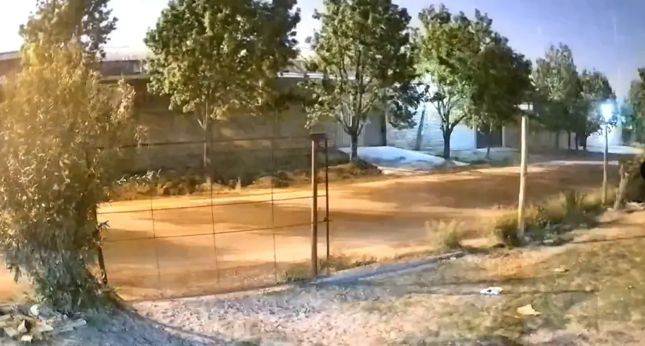 720