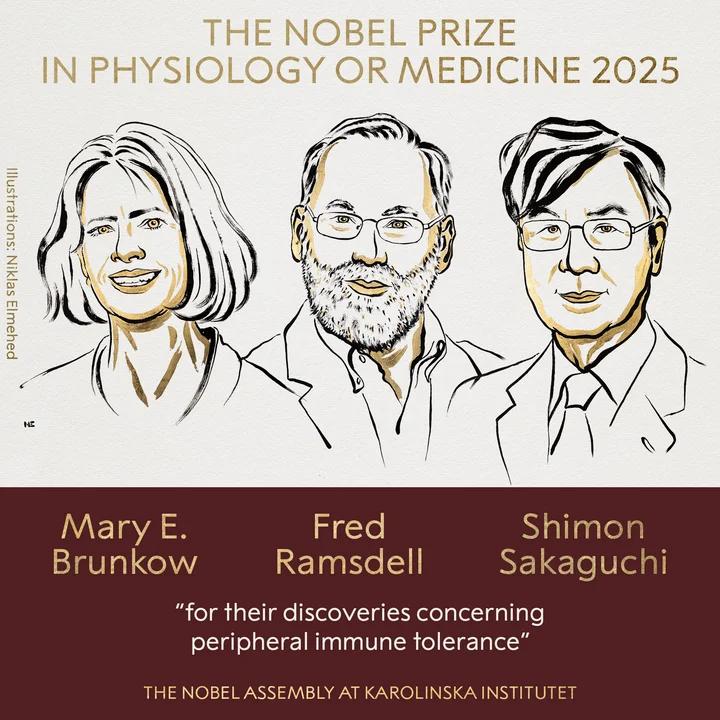 nobel de medicina 2025