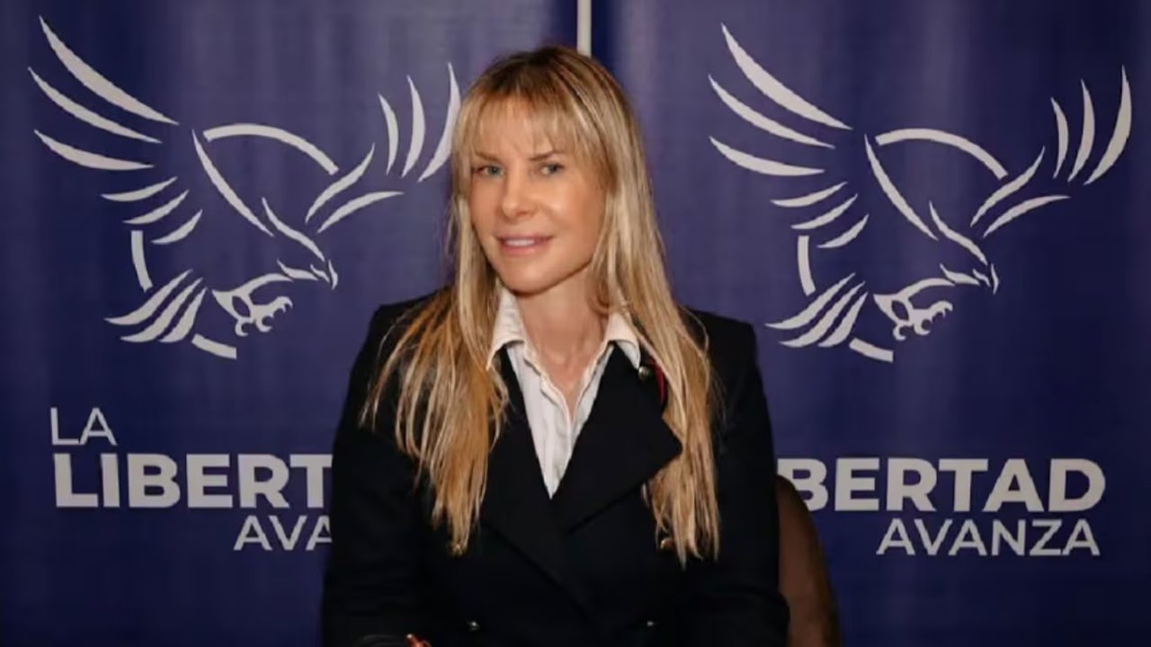 Diputada Karen Reichardt durante la audiencia por la Ley de Glaciares