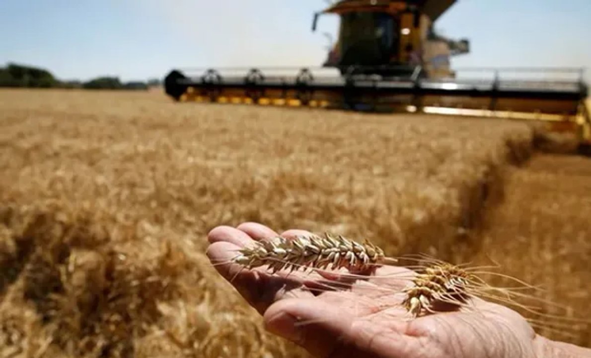 Brasil prevé producción récord de granos en 2026 a pesar de los riesgos de El Niño