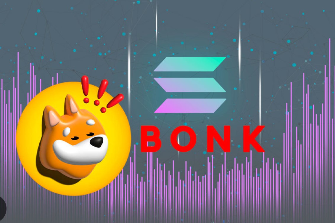 BONK.fun + Kick: la nueva jugada cripto para conquistar a la audiencia del  streaming - Newsweek