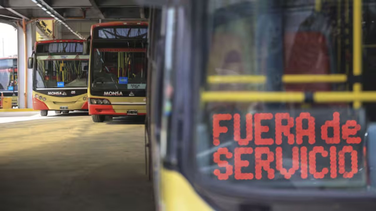 Paro indeterminado de colectivos: a qué líneas afecta