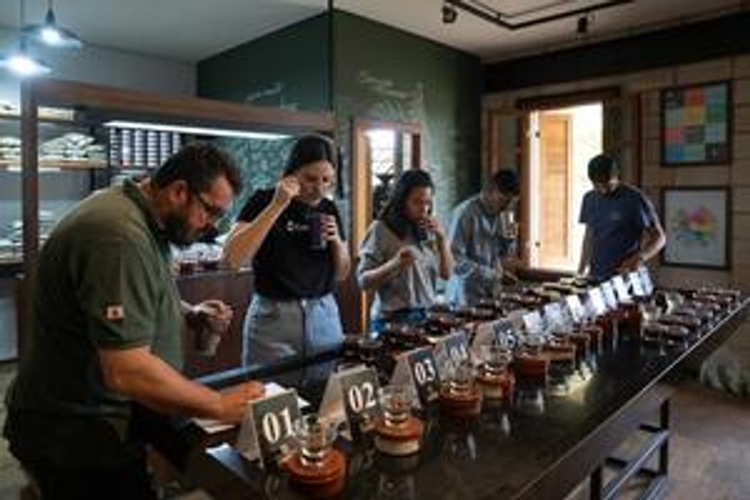 El cultivo de café florece en el estado amazónico de Brasil y promete transformar economía local