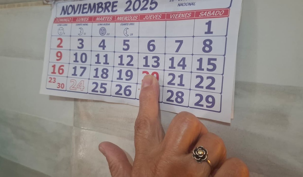 Cómo afectará el feriado XL al calendario de ANSES