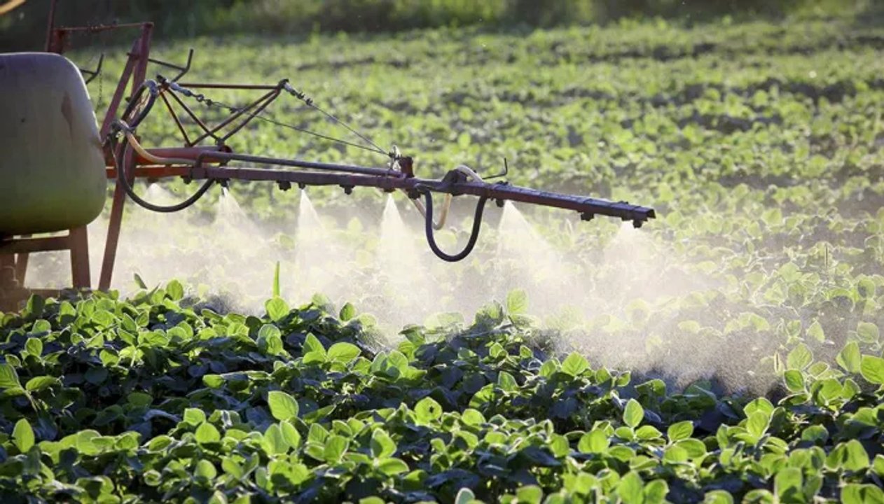 Ordenaron el cese de fumigaciones con agroquímicos en un barrio de Córdoba Ordenaron el cese de fumigaciones con agroquímicos en un barrio de Córdoba