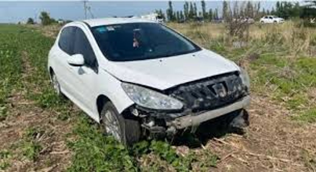 Un carpincho casi provoca una tragedia en Vivoratá Un carpincho casi provoca una tragedia en Vivoratá