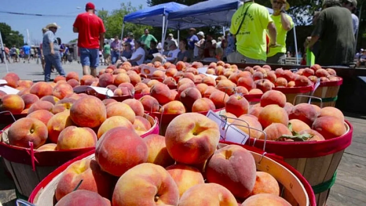 Fiesta del Durazno en Mercedes: programación completa y cómo llegar desde Buenos Aires - Agencia Noticias Argentinas