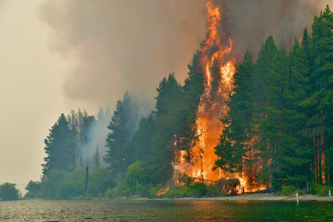 Incendios forestales en la Patagonia argentina
