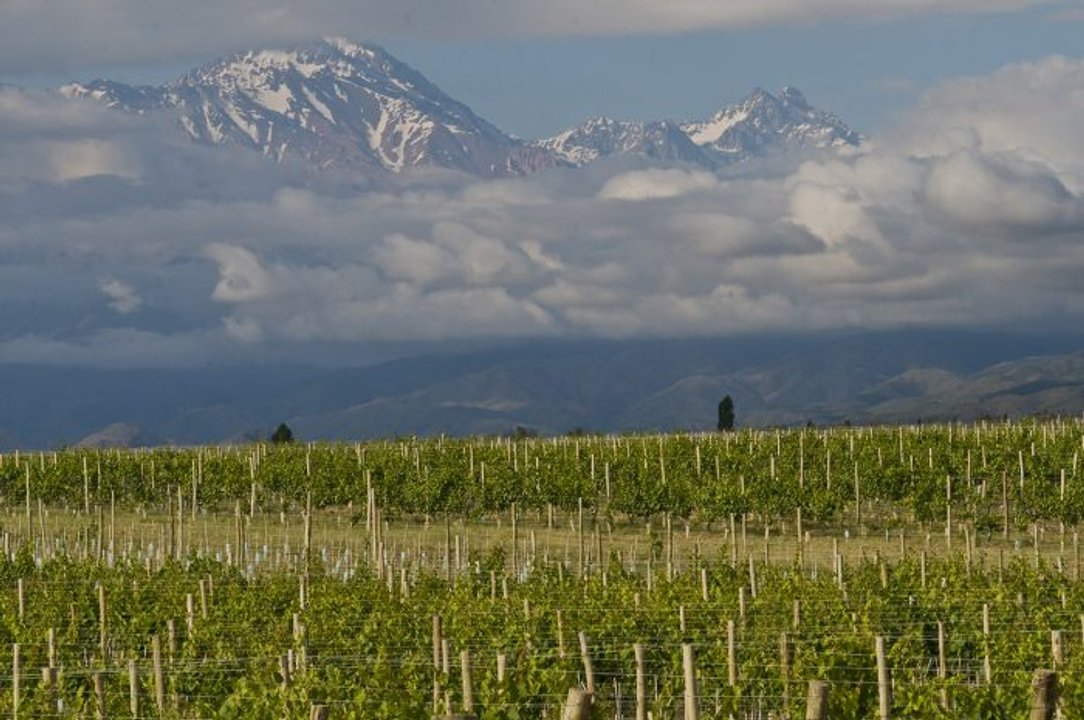 Paisaje del Valle de Uco en Mendoza, con viñedos y cordillera de fondo