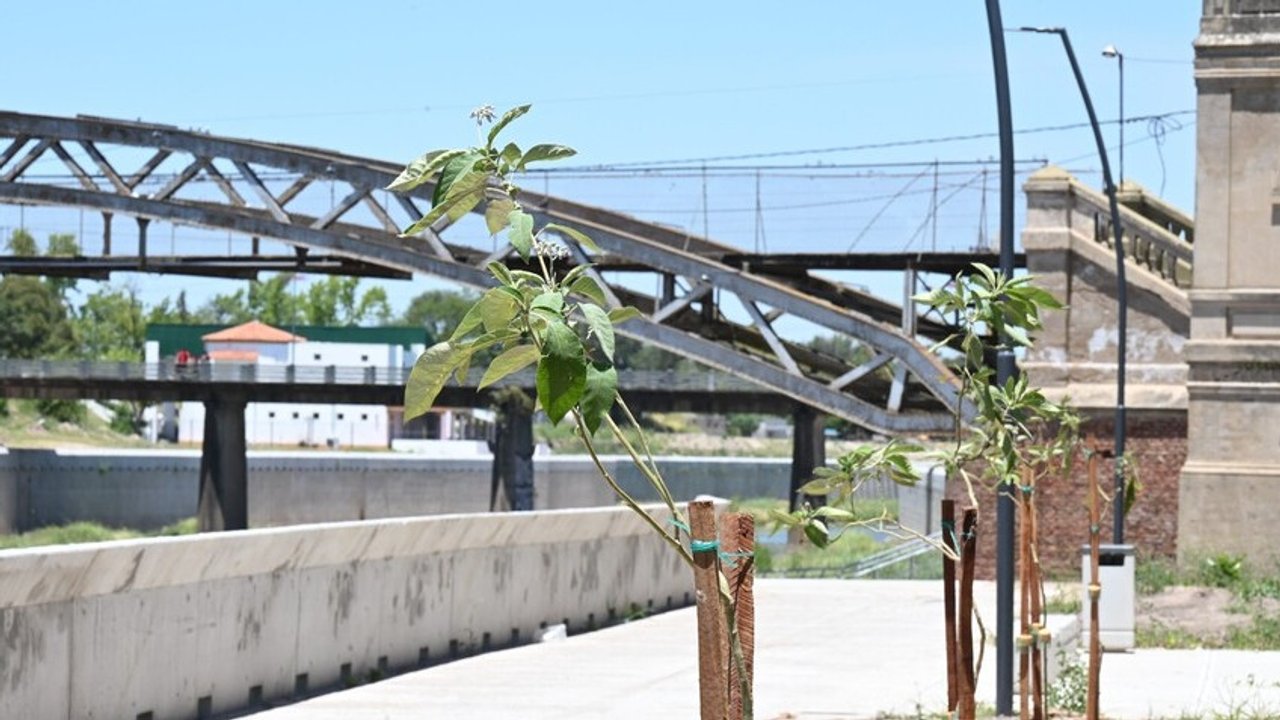 Plan de arbolado y parquización en la ribera del río Luján