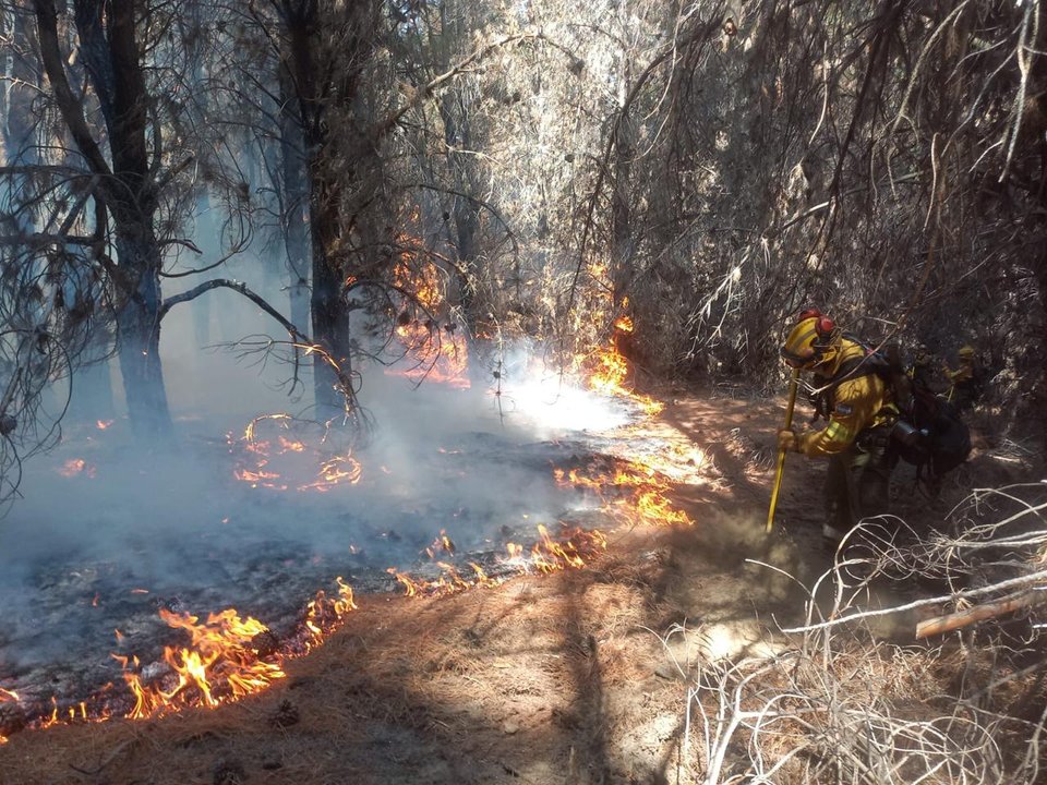 Brigadistas trabajando en los incendios en Chubut