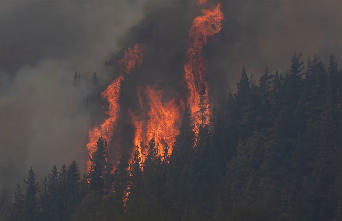 Brigadistas combatiendo incendios forestales en Chubut