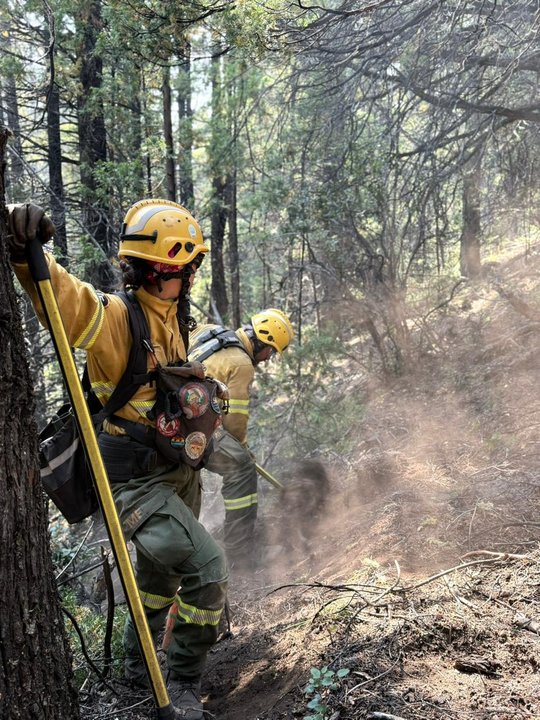 Incendio forestal en el Parque Nacional Los Alerces