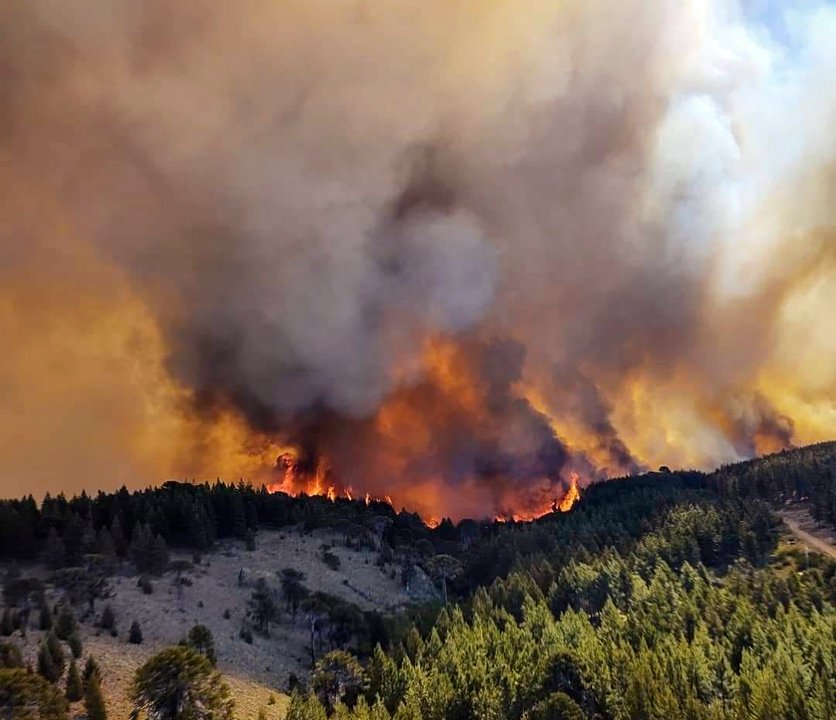 Incendios forestales en la Patagonia argentina