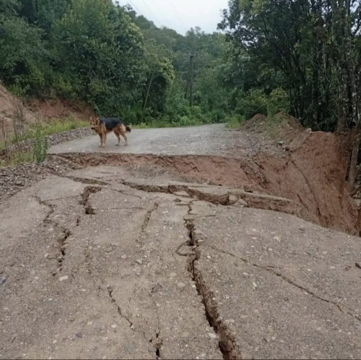 Trabajos de Vialidad en la Ruta Provincial 35 en Jujuy