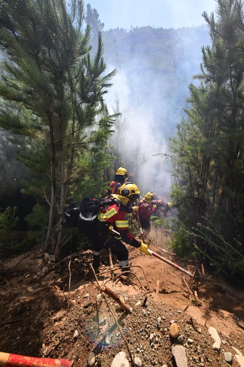 Brigadistas combatiendo incendios forestales en Chubut