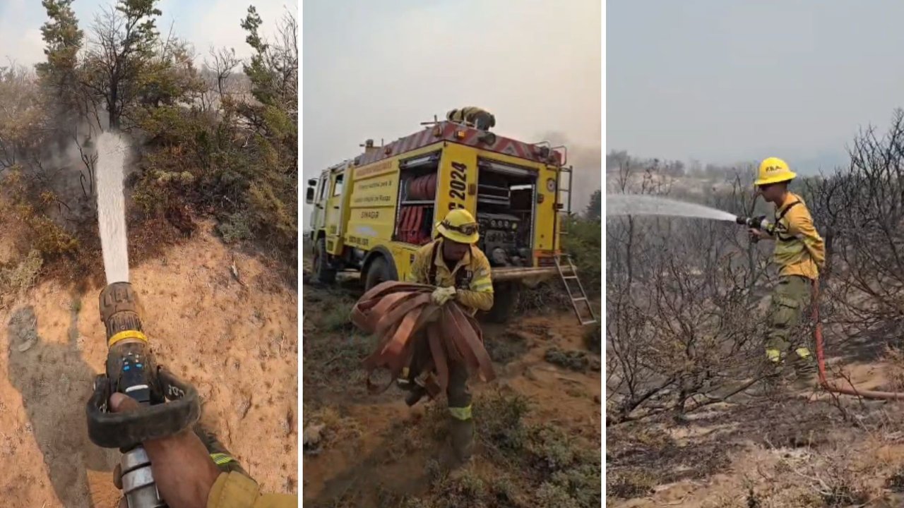 Brigadistas y equipos bonaerenses combatiendo incendios forestales en Chubut