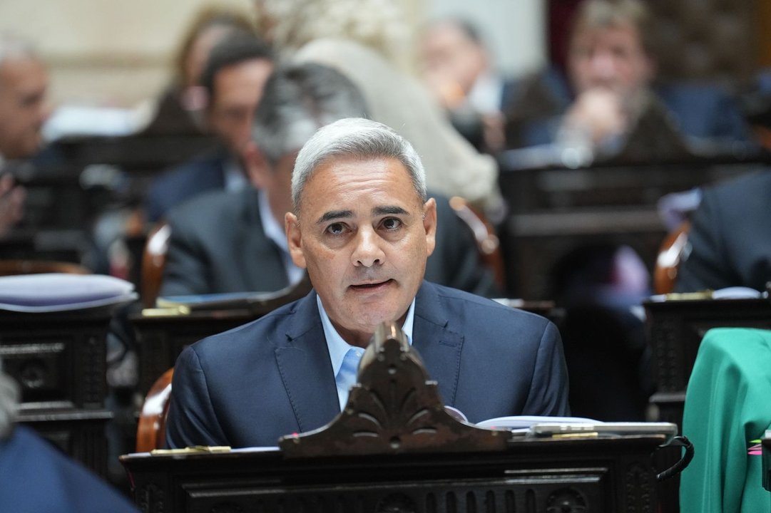 El diputado Ramiro Gutiérrez durante una exposición en el Congreso
